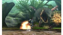 Monster Hunter 4  11.10.2012 (27)