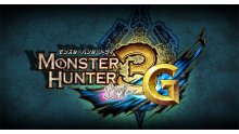 monster_hunter_tri_g-3