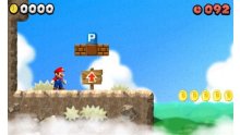 New-Super-Mario-Bros-2_01-10_2012_screenshot-14
