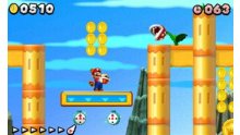 New-Super-Mario-Bros-2_01-10_2012_screenshot-18