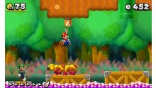 New Super Mario Bros. 2 08.06 (2)
