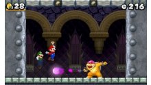 New Super Mario Bros. 2 08.06 (3)
