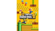 New Super Mario Bros 2 10.07