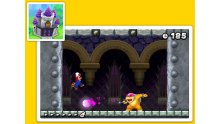 New-Super-Mario-Bros-2_18-07-2012_screenshot-5