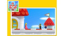 New-Super-Mario-Bros-2_23-07-2012_screenshot-1