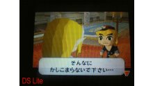 Ninendo 3DS Vs DS Lite comparaison Japan zelda spirit (20)