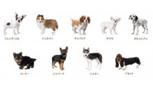 Nintendogs-+-Cats_7-French-Bulldog