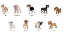 Nintendogs-+-Cats_8-Shiba-Inu