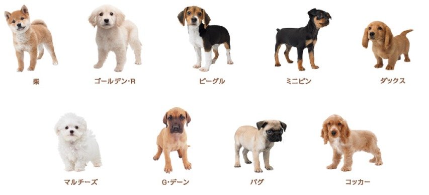 Nintendogs-+-Cats_8-Shiba-Inu