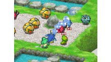 Pokemon-Conquest_04-04-2012_screenshot-5