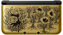 Pokemon X et Y Nintendo 3DS Xerneas Yveltalse gold 04.07.2013 (2)