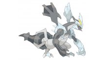 Pokémon-Blanc-Noir-Version-Blanche-Noire-2_26-02-2012_art-1