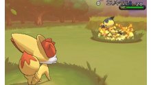 Pokémon-X-Y_15-05-2013_screenshot-11