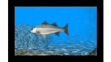 Reel-Fishing-Paradise-3D_2