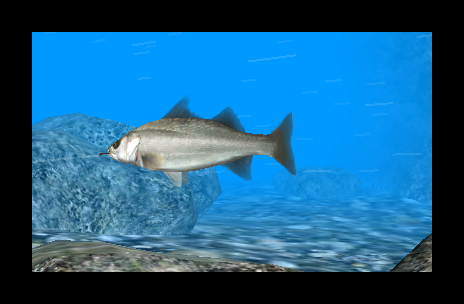 Reel-Fishing-Paradise-3D_2