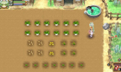 rune factory 4 vign