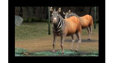 screenshot-capture-image-zoo-mania-nintendo-3ds-05