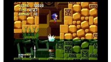 Sonic The Hedgehod 3d 09.05.2013 (2)