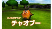 Super-Pokemon-Rumble_16-07-2011_screenshot-7