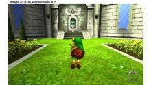 The-Legend-of-Zelda-Ocarina-of-Time-3D_19-04-2011_screenshot-7