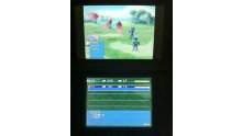 TUTO Jouer DS sur Nintendo 3DS (2)